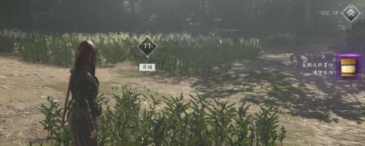 《刺客信条：影》全宠物墨绘获得方法介绍