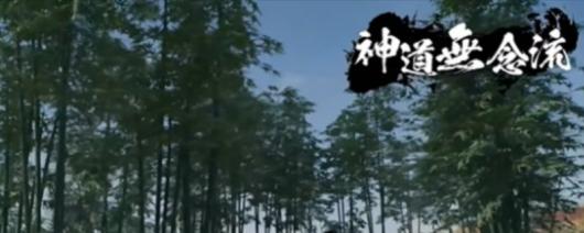 《浪人崛起》神道无念流特点介绍