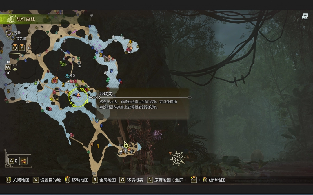 《怪物猎人：荒野》绚烂翼鸟具体位置介绍