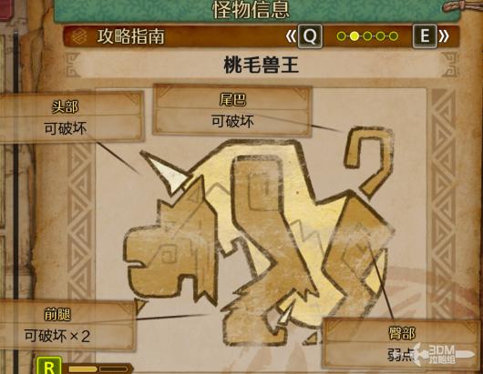 《怪物猎人：荒野》全怪物图鉴合集