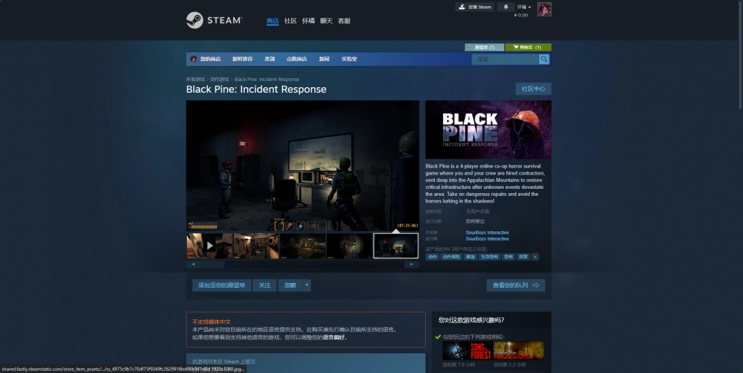 《Black Pine: Incident Response》游戏官网地址介绍