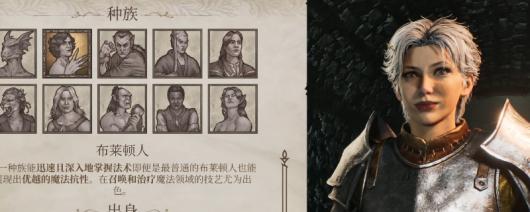 《上古卷轴4：湮灭重制版》布莱顿人好看捏脸推荐