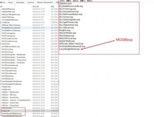 《上古卷轴4：湮灭重制版》mod使用攻略分享