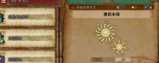 《怪物猎人：荒野》望花水母及大望花水母收集方法介绍