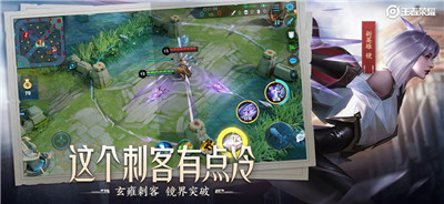 王者荣耀(图1)