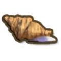 《金垦小镇》全水生生物图鉴