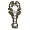 《金垦小镇》全水生生物图鉴