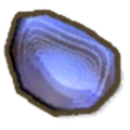 《金垦小镇》全水生生物图鉴