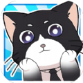 猫总大厦(图1)
