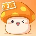 冒险岛枫之传说(图1)