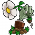 植物大战僵尸LZ重置版(图1)