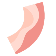 Stellavis
