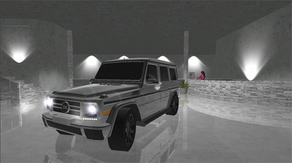 欧洲豪华轿车(图2)