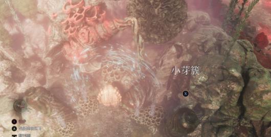 《光与影：33号远征队》白色经怪芽簇支线攻略分享