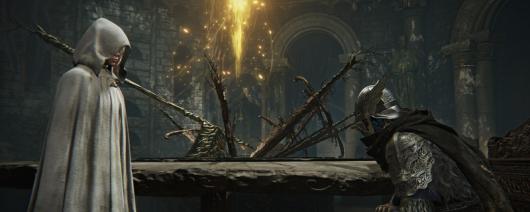 《艾尔登法环：黑夜君临》新手入门指南分享