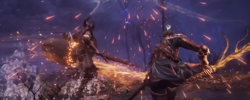 《艾尔登法环：黑夜君临》执行者职业玩法解析
