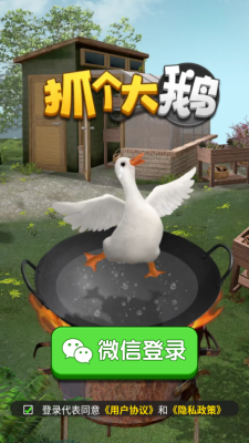 抓个大鹅(图1)