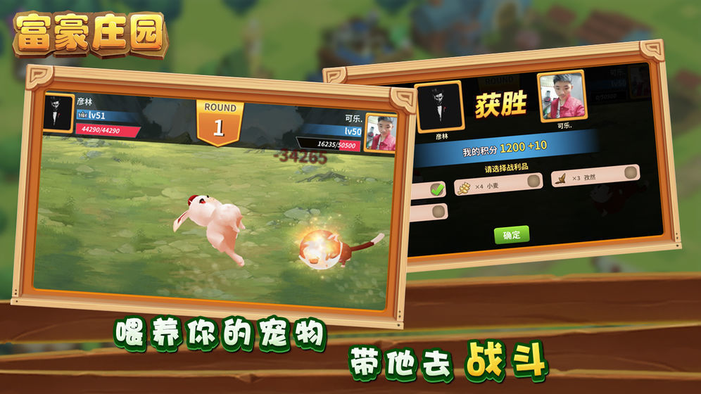富贵庄园(图1)