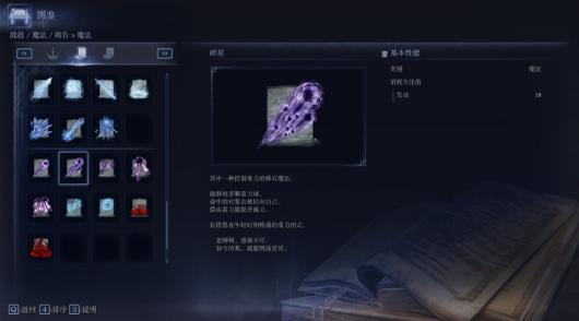 《艾尔登法环：黑夜君临》复仇者游玩心得分享