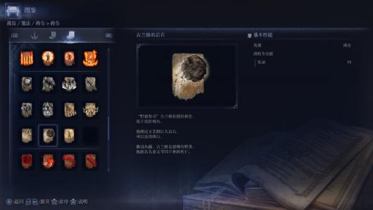 《艾尔登法环：黑夜君临》复仇者游玩心得分享