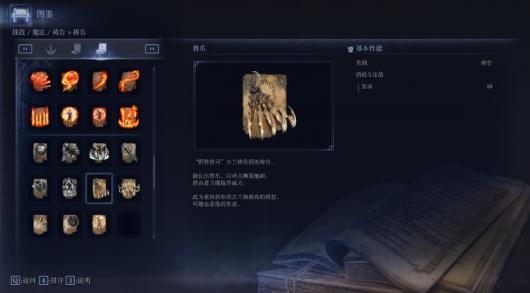 《艾尔登法环：黑夜君临》复仇者游玩心得分享
